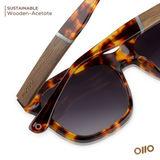 Kiwa 木輪 | OKNO Wooden