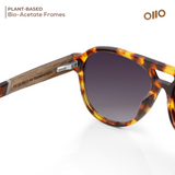 Nara 楢 | OKNO Wooden