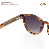 Iwa 岩 | OKNO Wooden